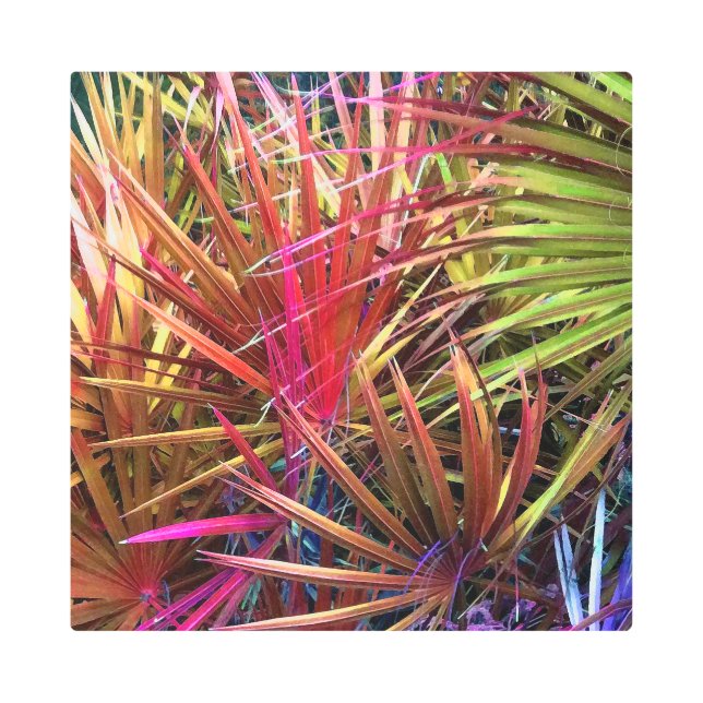 パルメット暴動 メタルプリント (正面)