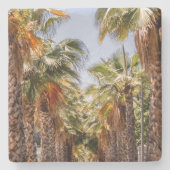 パルメロス/ヤシの木 ストーンコースター (正面)