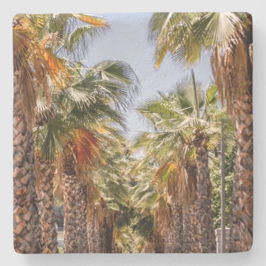 パルメロス/ヤシの木 ストーンコースター (正面)
