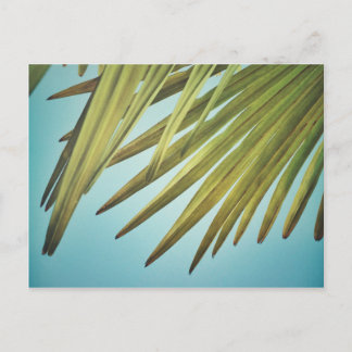 パルメンヴァデルアムソンメロンメル ポストカード