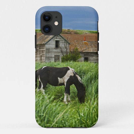 パルース地方の野原で馬を見る 2 Case-Mate iPhoneケース (裏面)