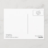 パルーズの栄光 ポストカード (裏面)