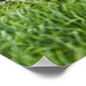 パルーズの畑で馬を見る2 ポスター (角)