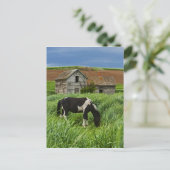 パルーズの畑で馬を見る2 ポストカード (スタンド正面)