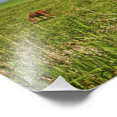 パルーズの農場の国を乗り越える3 フォトプリント            (角)