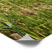 パルーズの農場の国を乗り越える3 ポスター (角)