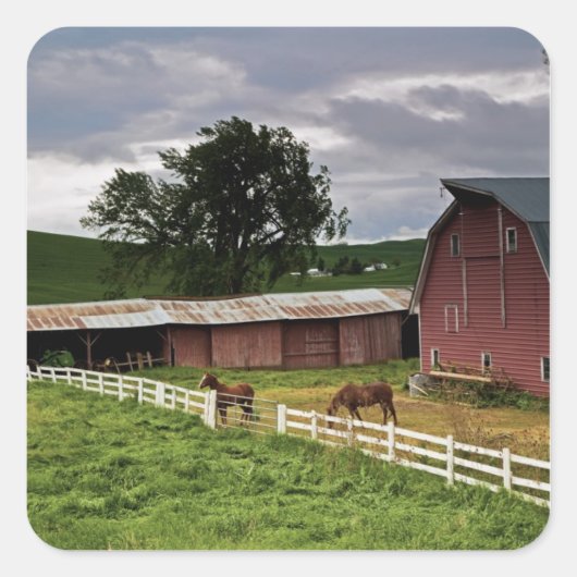 パルーズの農場の国を乗り越える4 スクエアシール (正面)