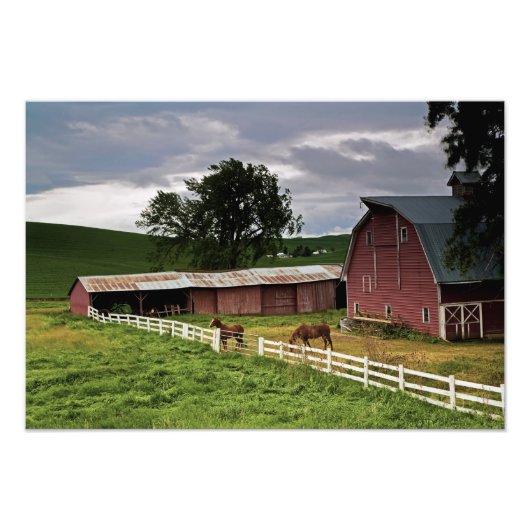 パルーズの農場の国を乗り越える4 フォトプリント            (正面)