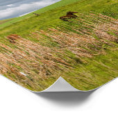 パルーズの農場の国を乗り越える4 ポスター (角)