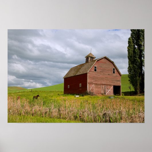 パルーズの農場の国を乗り越える4 ポスター (正面)