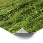 パルーズの農場の国を乗り越える4 ポスター (角)