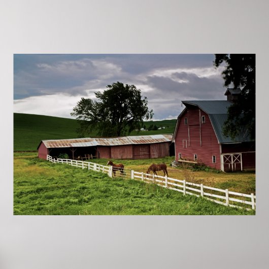 パルーズの農場の国を乗り越える4 ポスター (正面)