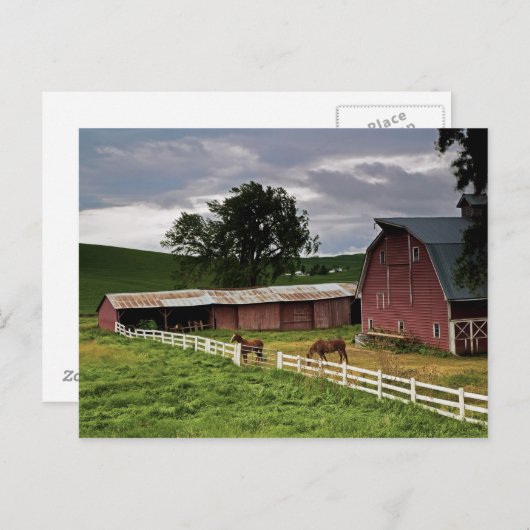 パルーズの農場の国を乗り越える4 ポストカード (正面/裏面)