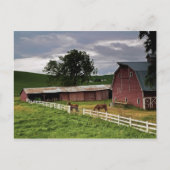 パルーズの農場の国を乗り越える4 ポストカード (正面)