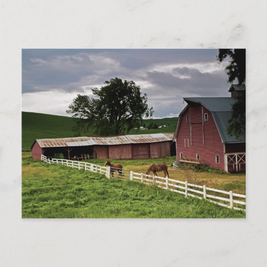 パルーズの農場の国を乗り越える4 ポストカード (正面)