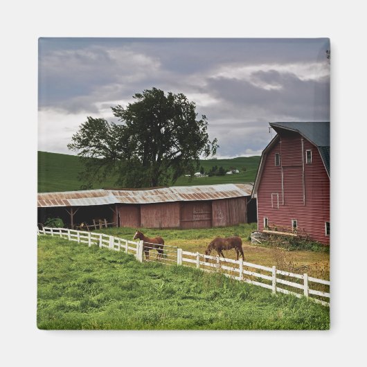 パルーズの農場の国を乗り越える4 マグネット (正面)