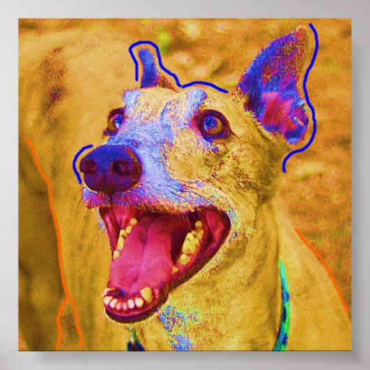 パル ポスター (正面)