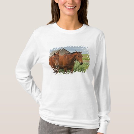 パルouseの馬を見つめる 3 tシャツ (正面)