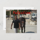 パレスチナの騎士 ポストカード (正面/裏面)