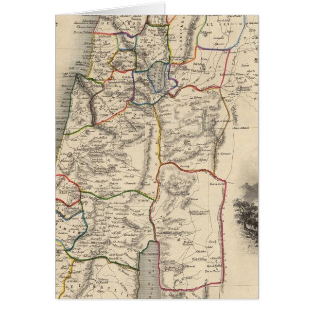 パレスチナモダン人 (正面)