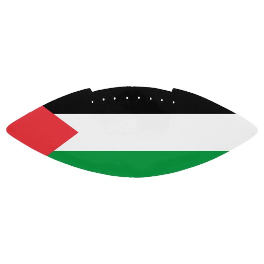 パレスチナ国旗を持つ愛国的なアメリカンフットボール アメリカンフットボール (パネル)