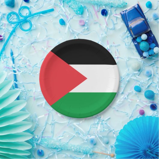 パレスチナ国旗を持つ愛国的な紙プレート ペーパープレート (パーティー)