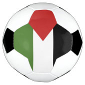 パレスチナ国旗 サッカーボール (回転)