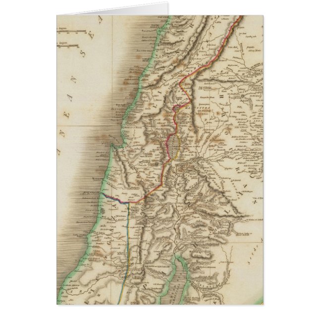 パレスチナ2 (正面)