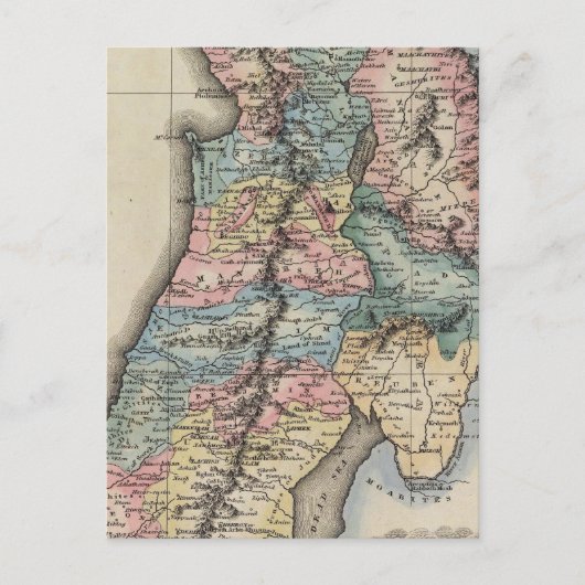 パレスチナ2 ポストカード (正面)