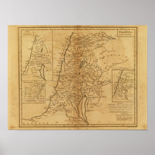 パレスチナ5 ポスター (正面)