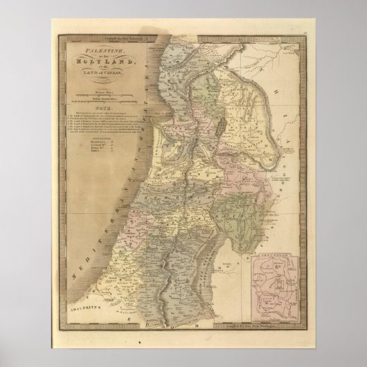 パレスチナ5 ポスター (正面)