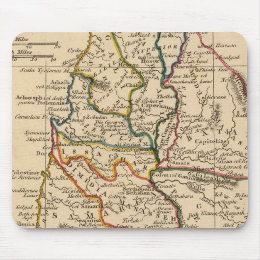 パレスチナ5 マウスパッド (正面)