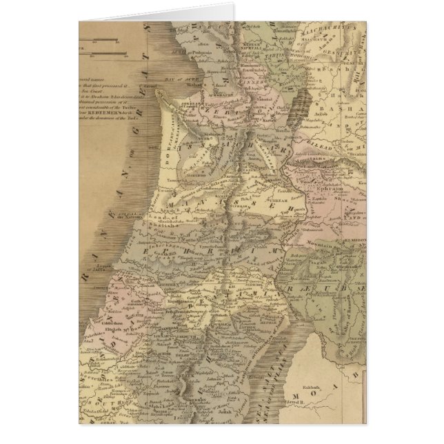 パレスチナ6 (正面)