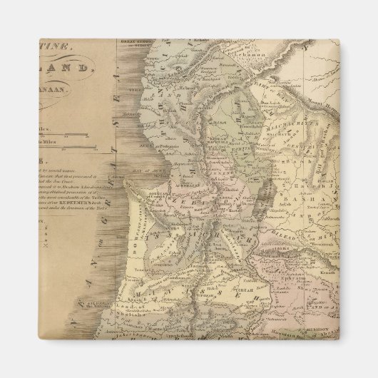 パレスチナ6 マグネット (正面)