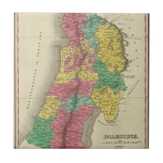 パレスチナ タイル (正面)