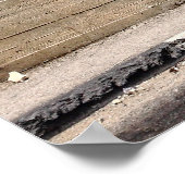 パレスティナアパルトヘイドウォールグラフィティ ポスター (角)