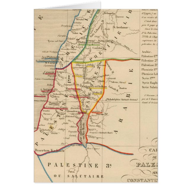 パレスティナ・ソス・コンスタンタン・ル・グランド330アペレスJC (正面)