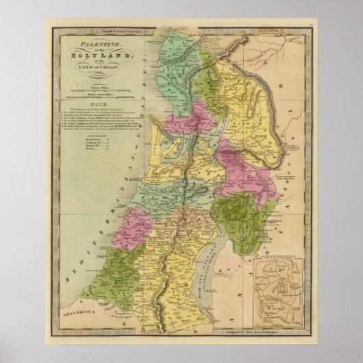 パレスティナ ポスター (正面)