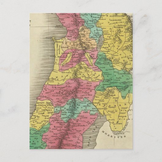 パレスティナ ポストカード (正面)