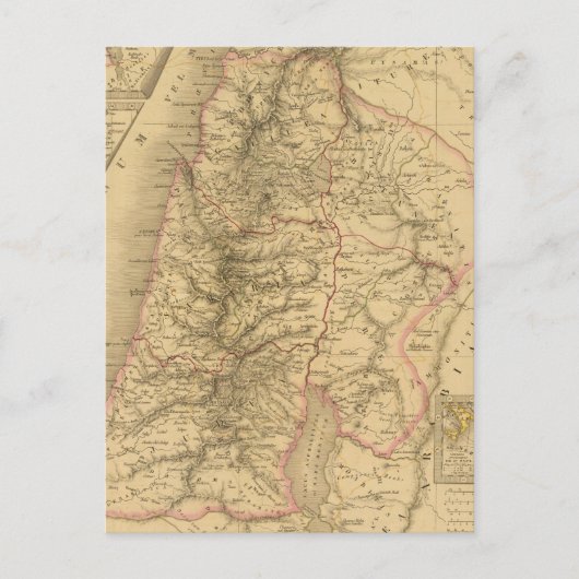 パレスティナ ポストカード (正面)