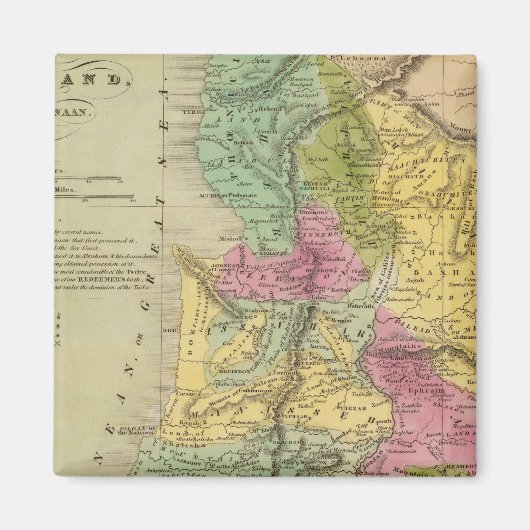 パレスティナ マグネット (正面)