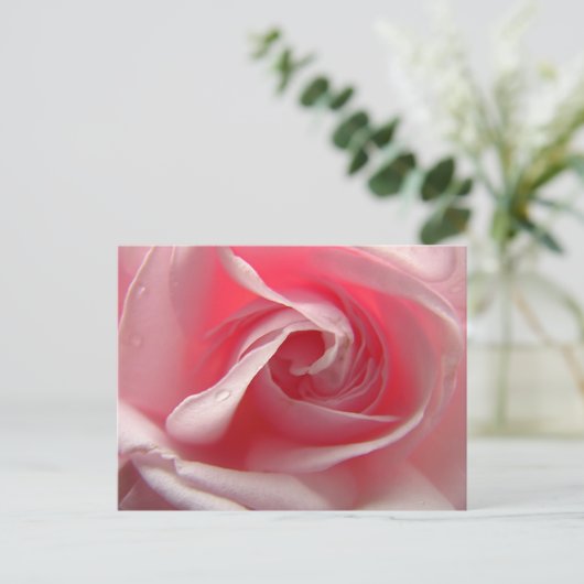 パレスピンク ポストカード (スタンド正面)