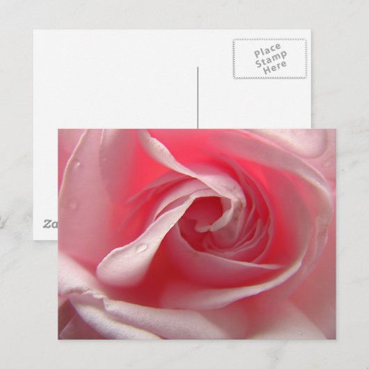 パレスピンク ポストカード (正面/裏面)