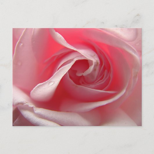 パレスピンク ポストカード (正面)