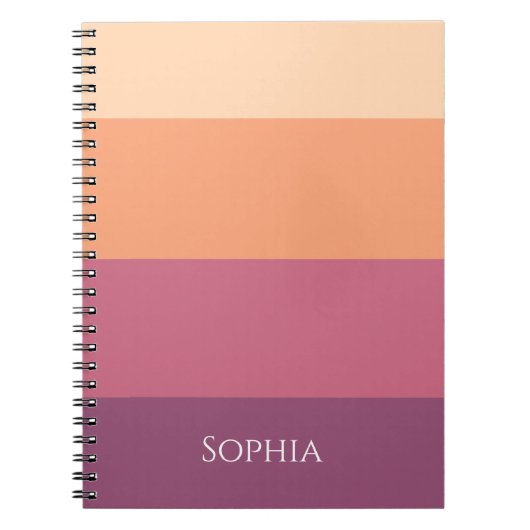 パレットの取り込み –  ノートブック (正面)