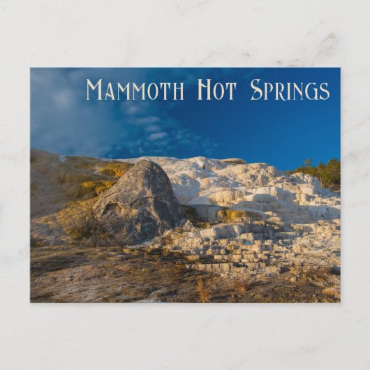 パレット春イエローストーン国立公園 ポストカード (正面)