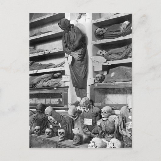 パレルモの地下墓地のミイラ、イタリア ポストカード (正面)