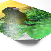 パレーケート。パピレロ フォトプリント            (角)