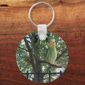 パレーケ キーホルダー (正面)