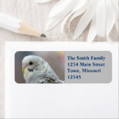 パレーケ ラベル (インサイチュ)